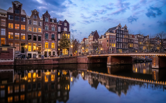 Tokyo bridge cityscape night lights free wallpaper for desktop - medium preview image