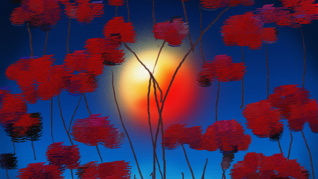 Red flowers blue sky sunset free wallpaper for desktop - medium preview image