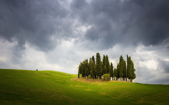 Field trees cloudy sky person free wallpaper for desktop - medium preview image