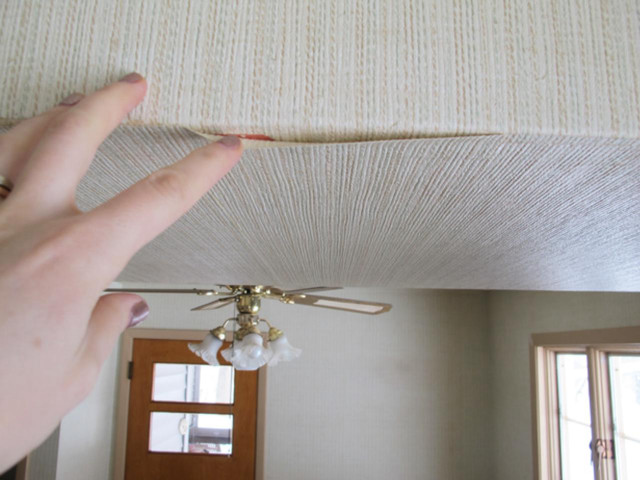 Person holding ceiling fan room free wallpaper for desktop - medium preview image