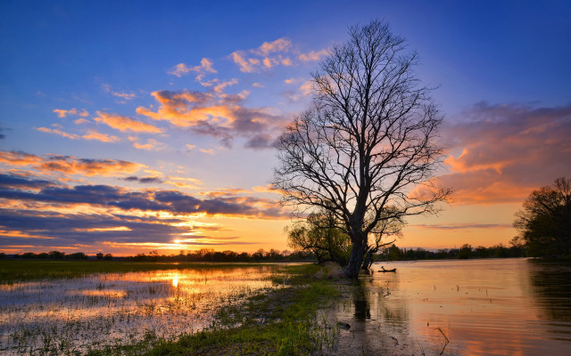 Tree water sunset sky clouds free wallpaper for desktop - medium preview image
