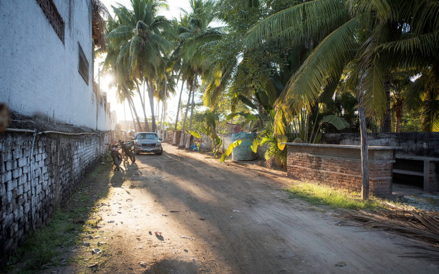 Car palm trees building matte free wallpaper for desktop - medium preview image