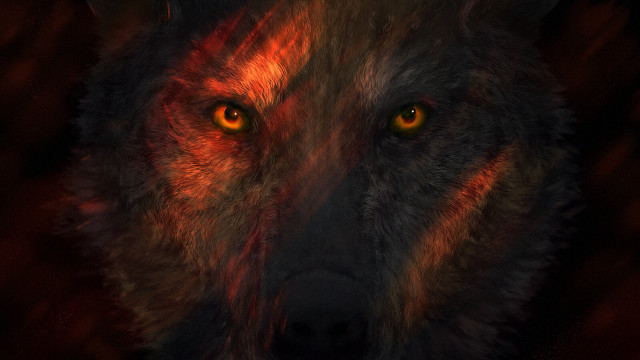 Wolf yellow eyes red background free wallpaper for desktop - medium preview image