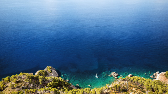 Water boat trees hill flowers free wallpaper for desktop - medium preview image