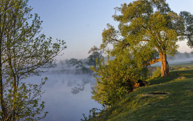 Lake fog trees autumn bench free wallpaper for desktop - medium preview image