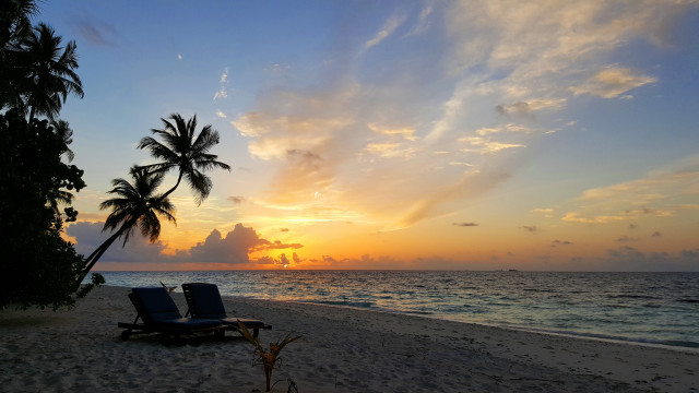 Lawn chairs beach sunset palm free wallpaper for desktop - medium preview image