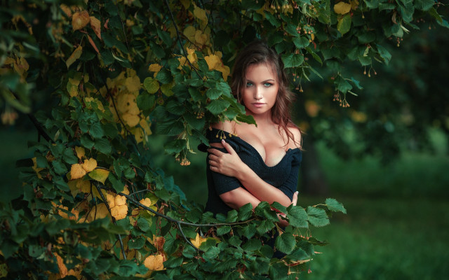 Woman black dress tree leaves #3 free wallpaper for desktop - medium preview image