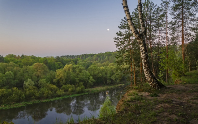 River forest half moon dusk free wallpaper for desktop - medium preview image
