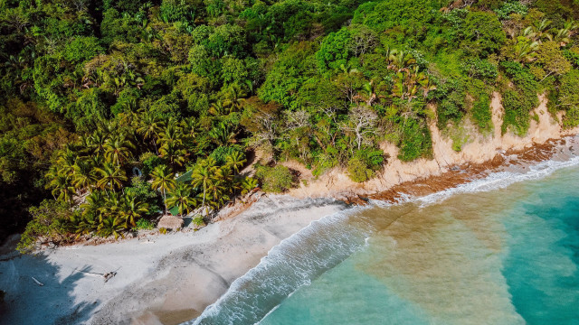Aerial beach forest ocean boat free wallpaper for desktop - medium preview image