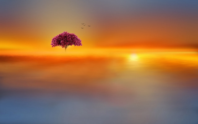 Tree sunset bird water fantasy free wallpaper for desktop - medium preview image