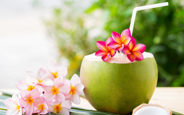 Green coconut drink flower table free wallpaper for desktop - medium preview image