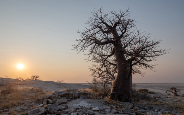 Rocky tree sunset mountains moon free wallpaper for desktop - medium preview image