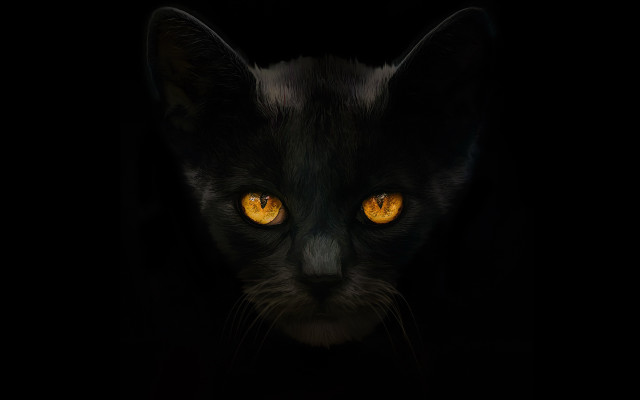 Black cat yellow eyes gothic #3 free wallpaper for desktop - medium preview image