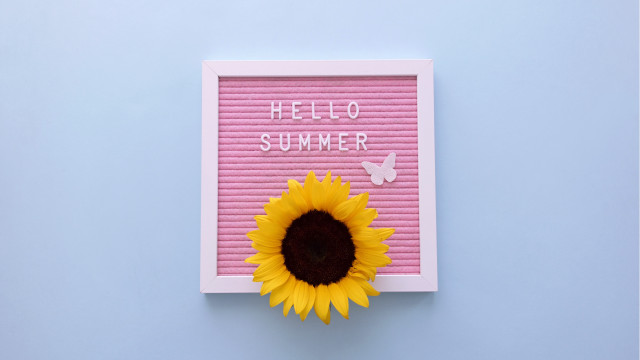 Sunflower pink frame hello summer free wallpaper for desktop - medium preview image