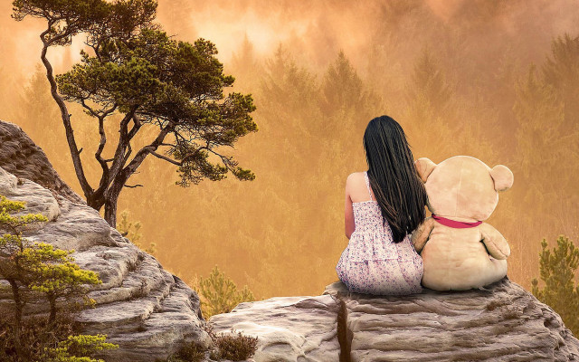 Girl rock teddy misty forest free wallpaper for desktop - medium preview image