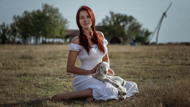 Woman white dress field stuffed free wallpaper for desktop - medium preview image