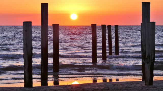 Sunset ocean pier bird sky free wallpaper for desktop - medium preview image