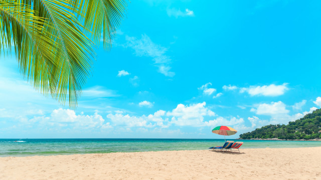 Palm tree beach umbrella sky free wallpaper for desktop - medium preview image