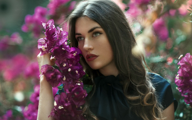 Annabel kidston purple flower blurry free wallpaper for desktop - medium preview image