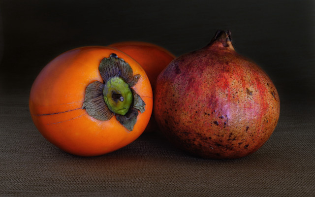 Oranges flower stilllife fullmoon polkadot free wallpaper for desktop - medium preview image