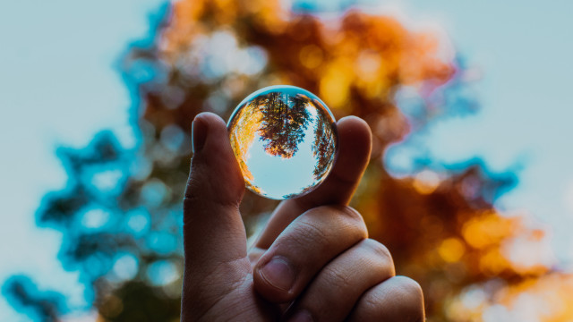 Person glass ball trees fire free wallpaper for desktop - medium preview image