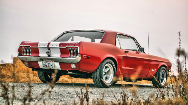Red mustang road side field free wallpaper for desktop - medium preview image
