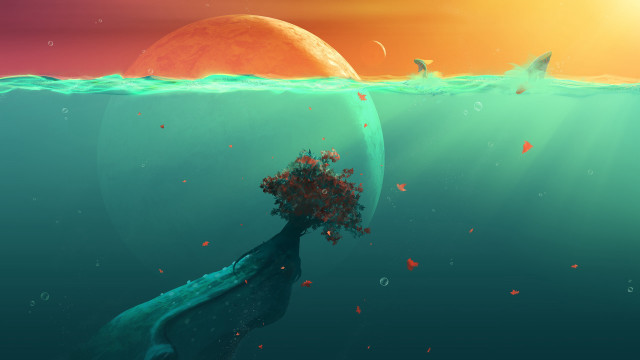 Tree water sun bird moon free wallpaper for desktop - medium preview image