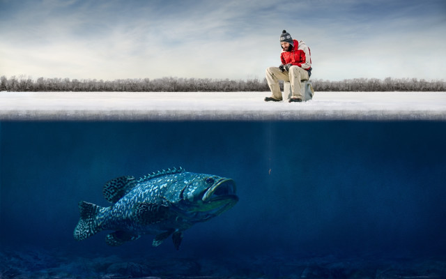 Man bench fish underwater sky free wallpaper for desktop - medium preview image
