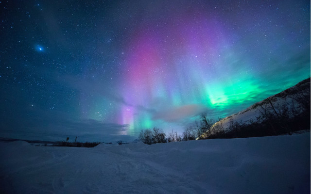 Aurora borealis snowy field trees free wallpaper for desktop - medium preview image