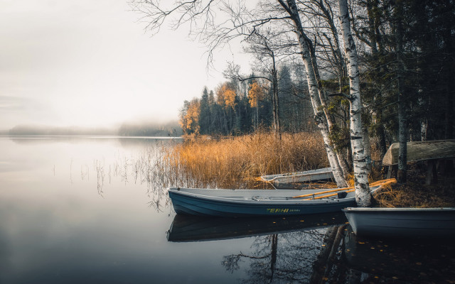 Boat shore tree lights city free wallpaper for desktop - medium preview image