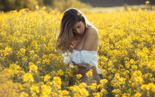 Woman field yellow flower autumn free wallpaper for desktop - medium preview image