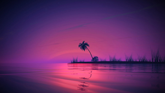 Palm tree silhouette purple sunset #3 free wallpaper for desktop - medium preview image