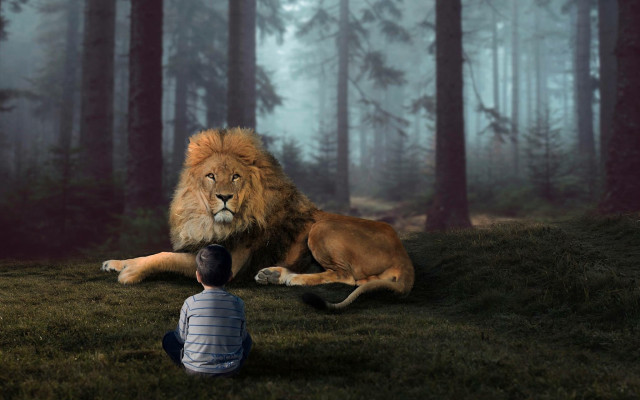Lion man blue shirt forest free wallpaper for desktop - medium preview image