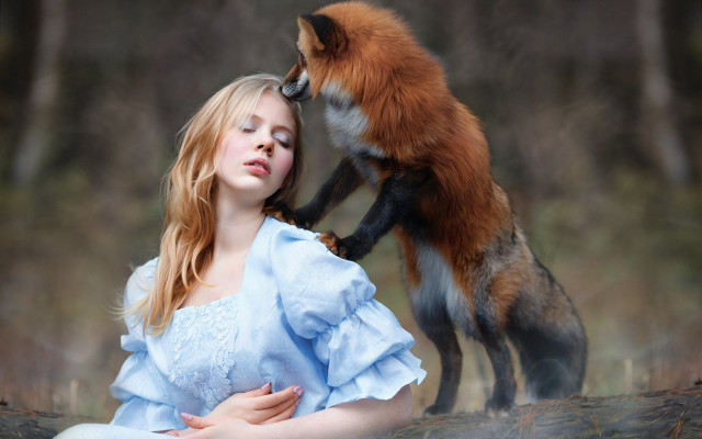 Woman blue dress red fox free wallpaper for desktop - medium preview image