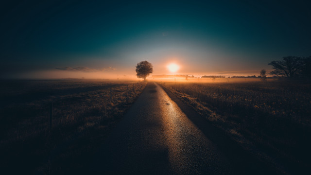 Sunrise foggy road tree berndfasching free wallpaper for desktop - medium preview image