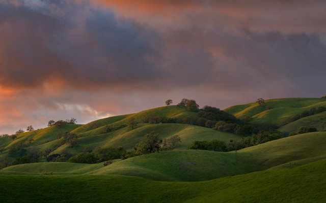 Green hills trees clouds sunset free wallpaper for desktop - medium preview image