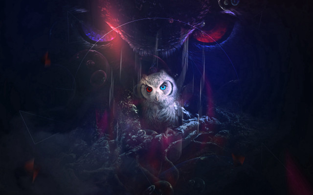 Owl darkroom redblue glow fantasy free wallpaper for desktop - medium preview image