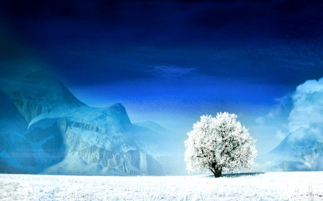 Lone tree snowy field mountains free wallpaper for desktop - medium preview image