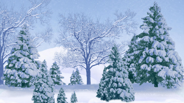 Snowy landscape forest winter branch free wallpaper for desktop - medium preview image
