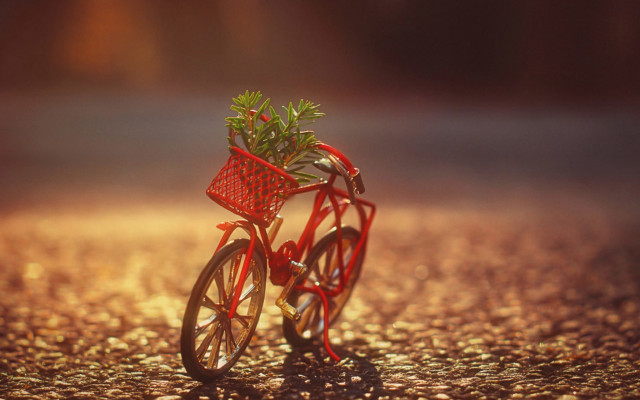 Red bicycle plant basket sunset free wallpaper for desktop - medium preview image