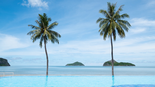 Pool ocean palm trees beach free wallpaper for desktop - medium preview image
