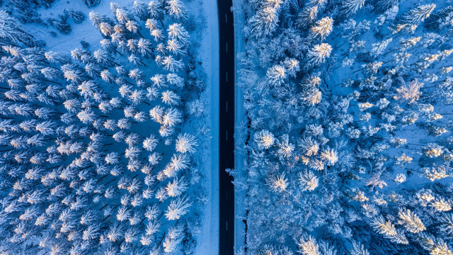 Snowy forest blue sky winter free wallpaper for desktop - medium preview image