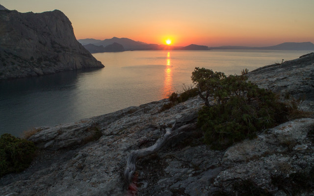 Sunset water tree mountains city free wallpaper for desktop - medium preview image