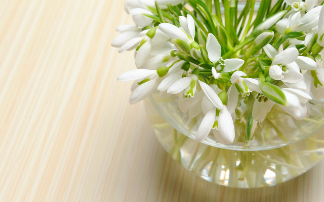 Vase white flowers wooden table #2 free wallpaper for desktop - medium preview image