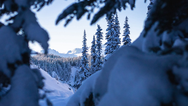 Snowy mountain forest sky blurry free wallpaper for desktop - medium preview image