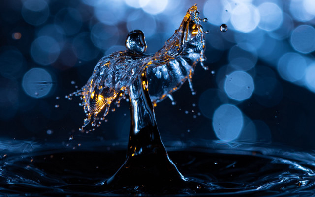 Water droplet bird abstract bokeh free wallpaper for desktop - medium preview image