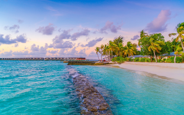 Water bridge palm trees saturated free wallpaper for desktop - medium preview image