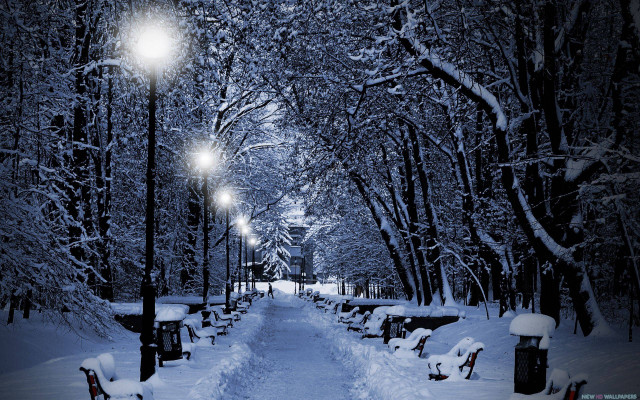 Snowy path bench streetlight trees free wallpaper for desktop - medium preview image