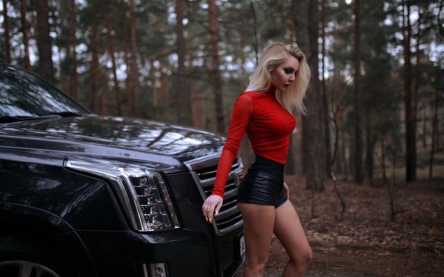 Woman black suv woods blonde free wallpaper for desktop - medium preview image