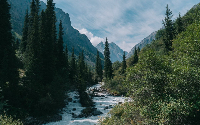River forest rocks cloudy day #2 free wallpaper for desktop - medium preview image